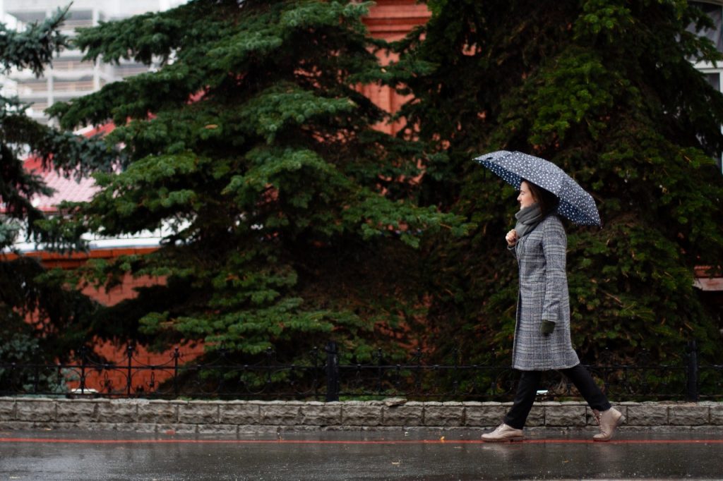 Rainy Season