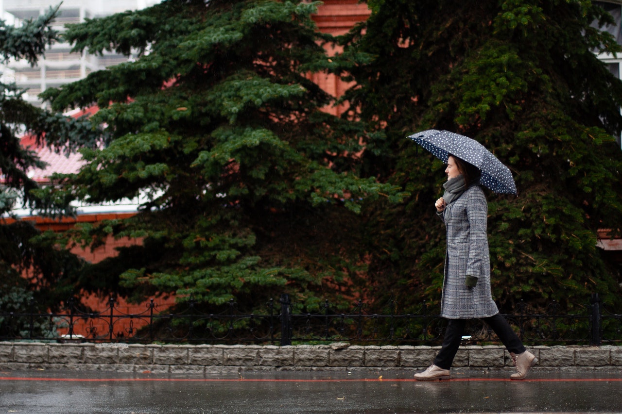 Rainy Season