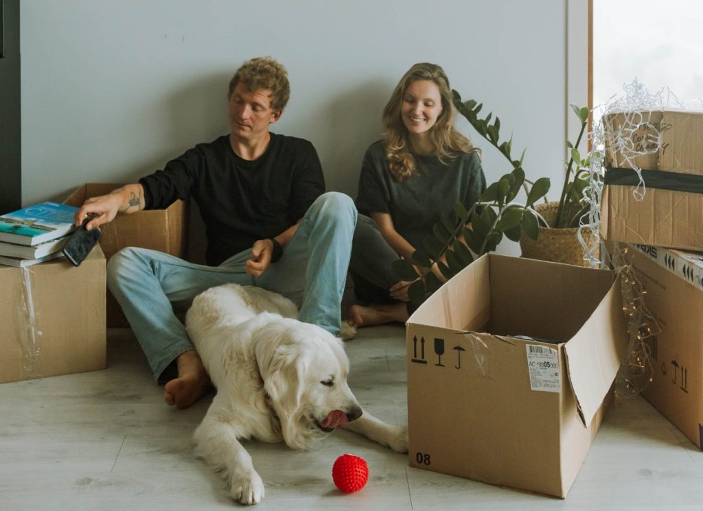 Moving with Dog