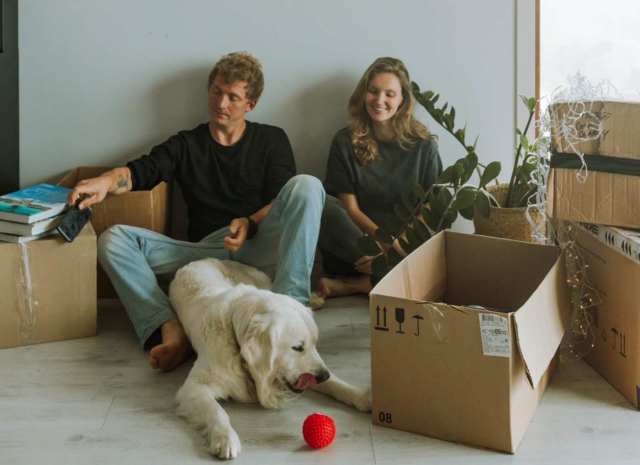 Moving with Dog